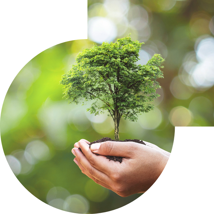 关怀人类、文化、环境与社会